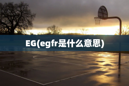 EG(egfr是什么意思)