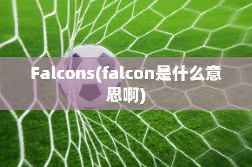 Falcons(falcon是什么意思啊)