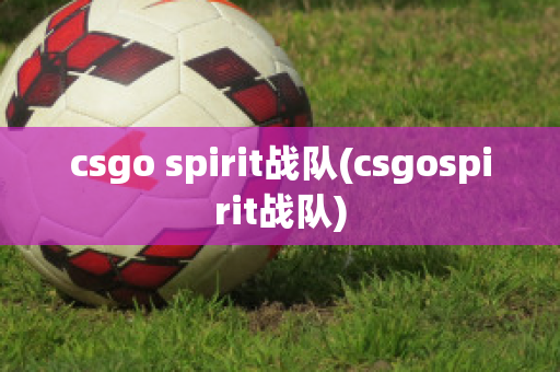 csgo spirit战队(csgospirit战队)