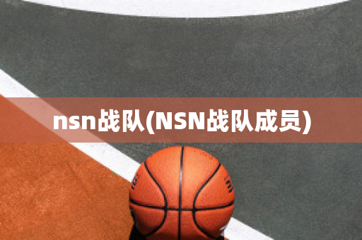 nsn战队(NSN战队成员)
