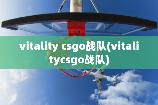 vitality csgo战队(vitalitycsgo战队)